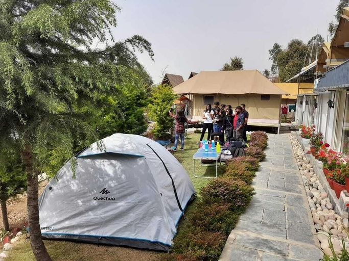 Others 5, Camp Cedar, Kangra