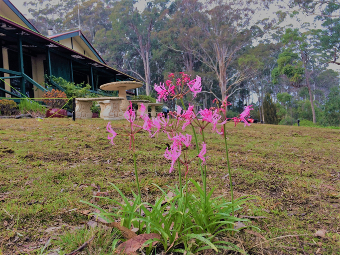 Others 4, Wonboyn Lake Resort, Bega Valley
