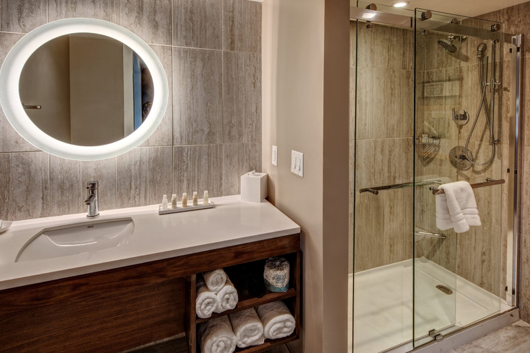 Bathroom 5, Hotel Indigo Memphis Downtown by IHG, Shelby