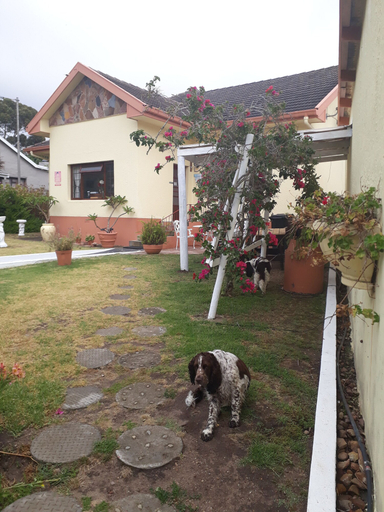 Others 5, Taste of Heaven, Overberg