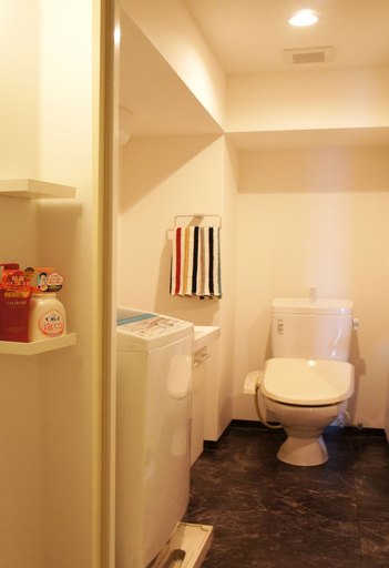 Bathroom 3, Tiara Court West apartment, Osaka