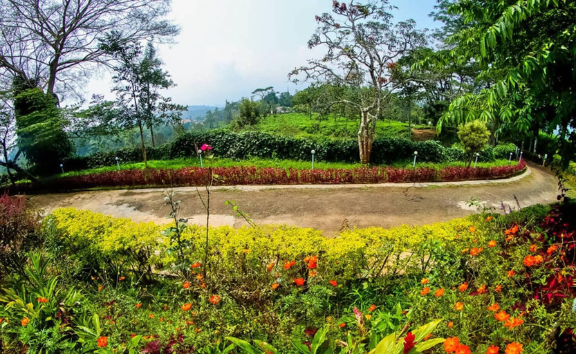Others 5, Deluxe Twin Room In British Bungalow, Wayanad