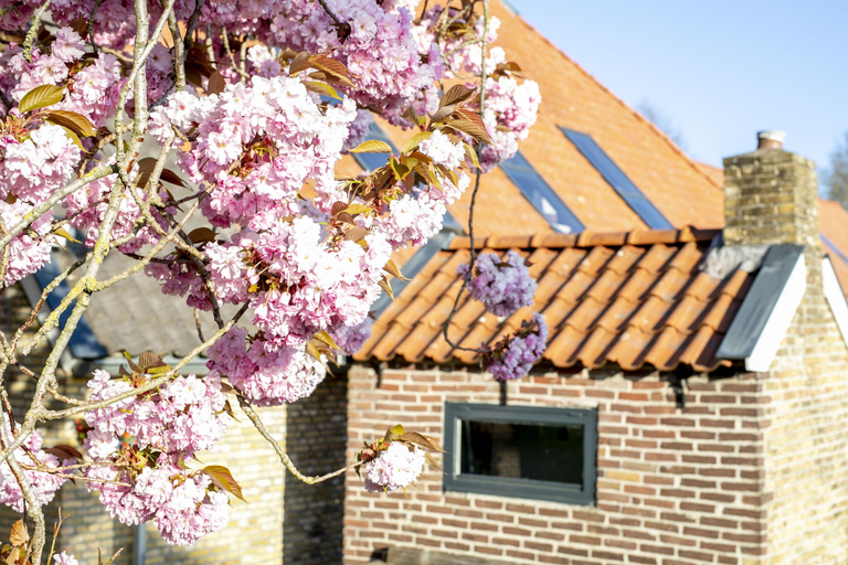 Exterior & Views 2, Uitgerust voor zaken, Skarsterlân