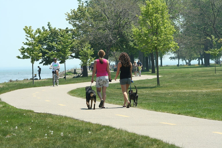 Others 4, Hampton House, Macomb