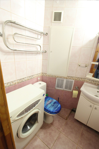 Bathroom 2, Flats of Moscow Apartment on Tsaritsyno 1, Southern