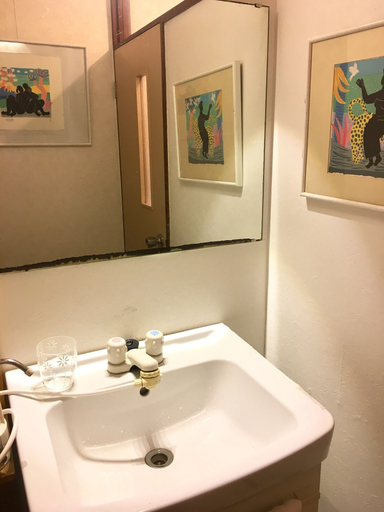 Bathroom 3, Oasis Minamiyukigaya, Setagaya