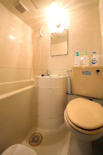 Bathroom 4, EX Tenjinnomori Apartment 205, Osaka