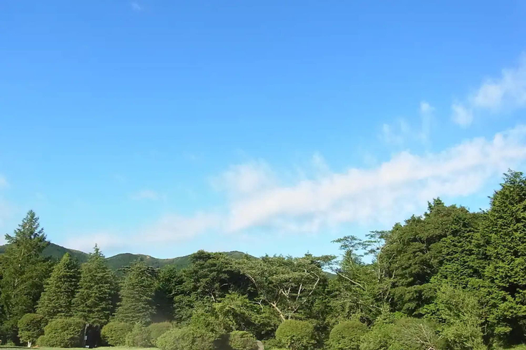 Others 5, Fuji-Hakone Guest House, Hakone