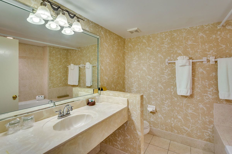 Bathroom 5, Club Continental, Clay
