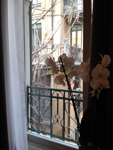 View from room, Verona4rent Letizia, Verona