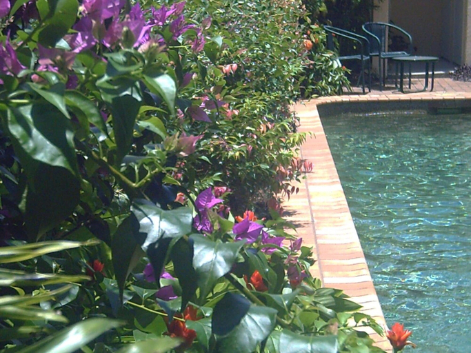 Sport & Beauty 4, Mid City Luxury Suites, Cairns