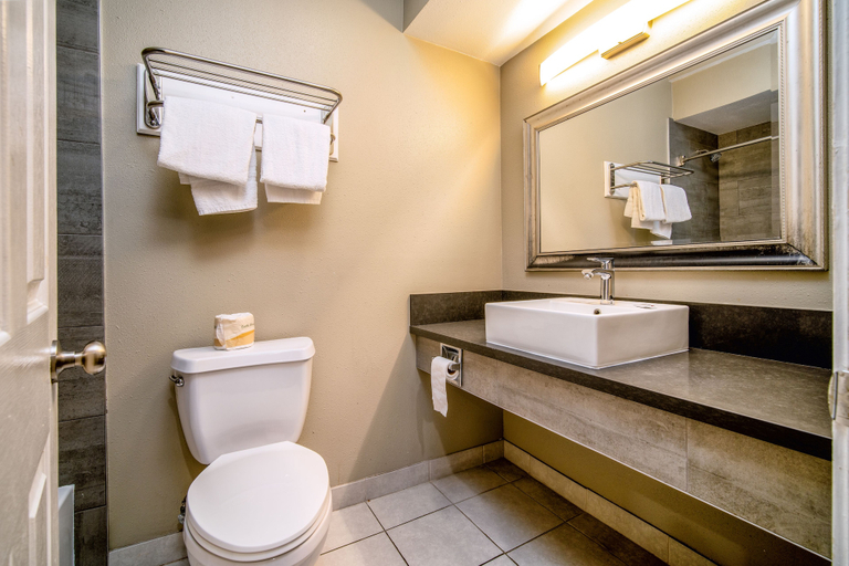 Bathroom 3, Regency Inn & Suites, Los Angeles