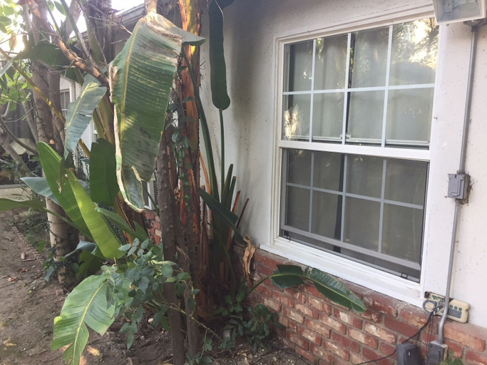 Exterior & Views 2, Comfortable Beverly Hills Town House, Los Angeles