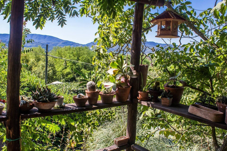 Others 5, Tuscan Farm Villa With Spectacular Views, Florence