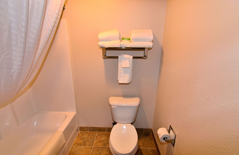 Bathroom 4, Cobblestone Inn & Suites - Monticello, Jones
