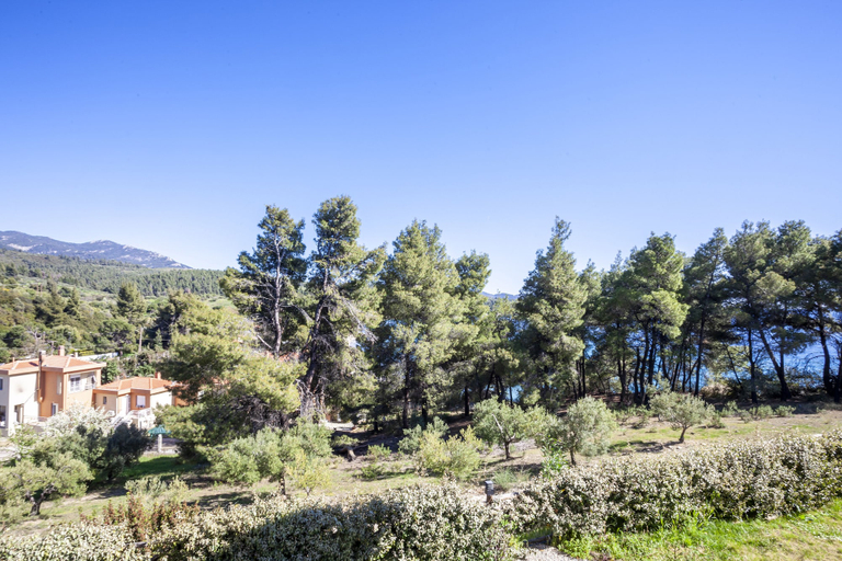 Others 5, Alterra Vita Homes by the Sea, Central Macedonia