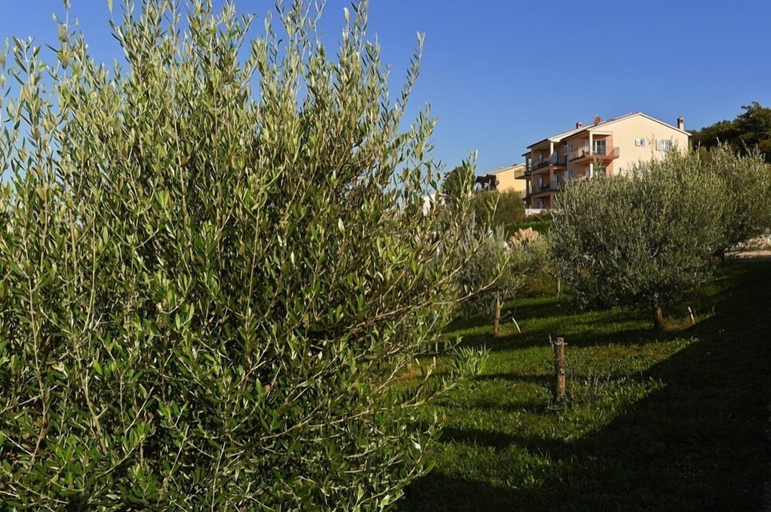Exterior & Views 2, Apartments Villa Venera, Labin