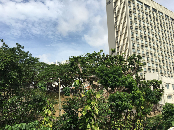 Exterior & Views, Women's Guest House Fukutomi, Naha