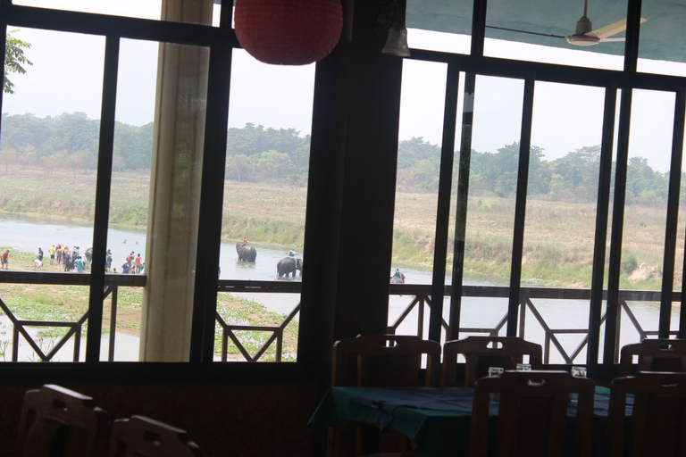 Food & Drinks 5, Jungle Wildlife Camp, Narayani