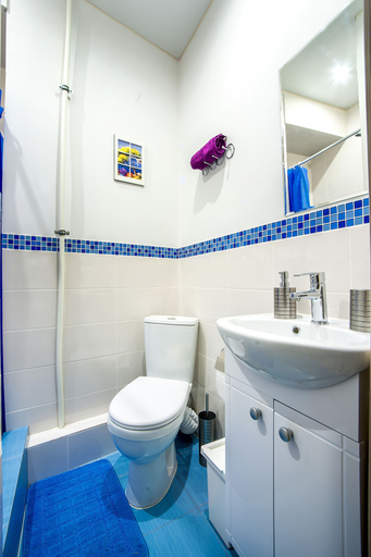 Bathroom 3, History Apartments, Sankt-Peterburg gorsovet