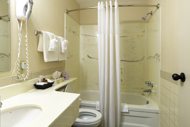 Bathroom 3, The Guv’nor, Division No. 1