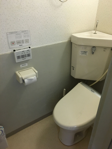 Bathroom 5, Shin-Okubo Sekitei Hotel, Shinjuku