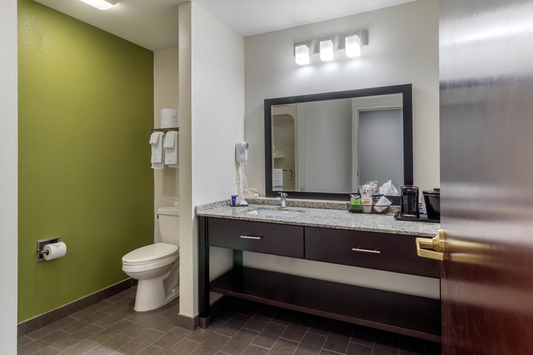 Bathroom 4, Sleep Inn & Suites Allendale, Ottawa