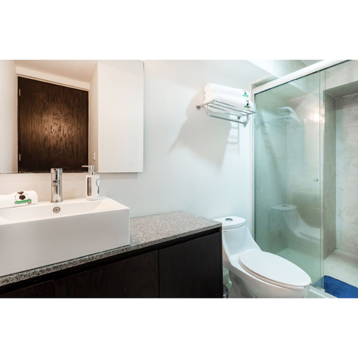 Bathroom 5, Destination Condesa @Alvaro Obregon Views 2, Mexico City