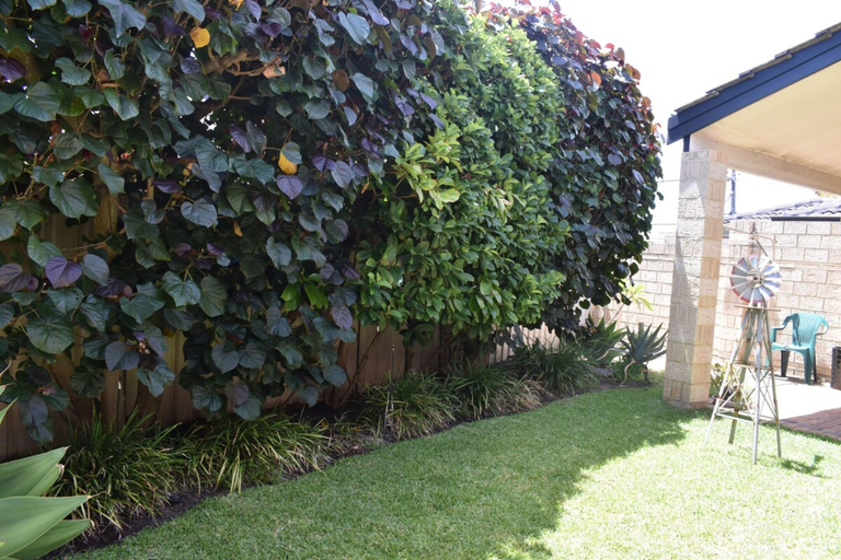 Others 4, Comfortable 2 Bedroom With Serene Garden, Stirling