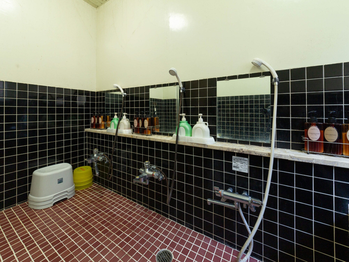 Bathroom 5, Tabist Business Hotel Chitose Kashiwazaki, Kashiwazaki