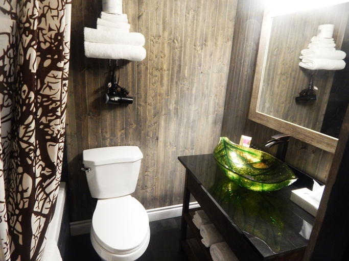 Bathroom 3, Quality Inn Fort Frances, Rainy River