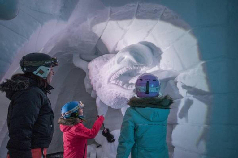 Others 5, Village Igloo Les Arcs, Savoie