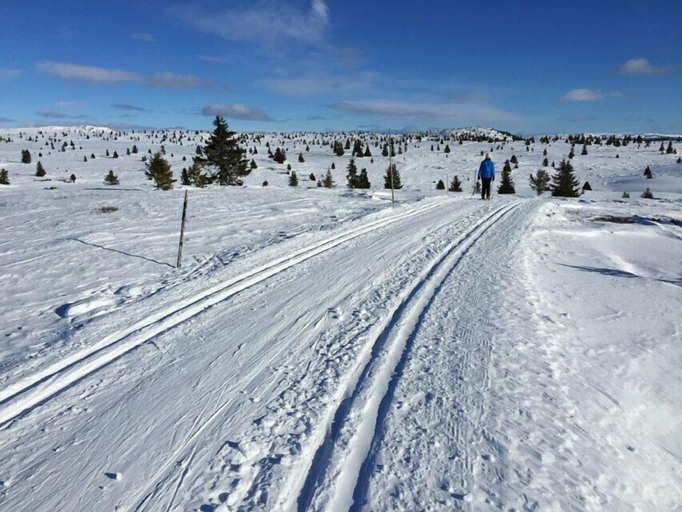 Others 5, Lilleset Cabin - Gol, Gol