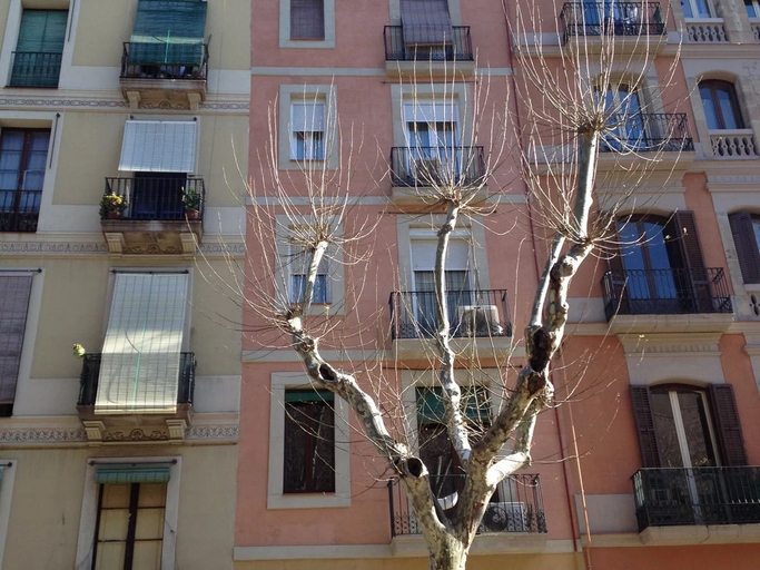 Exterior & Views, Sant Antoni Market, Barcelona