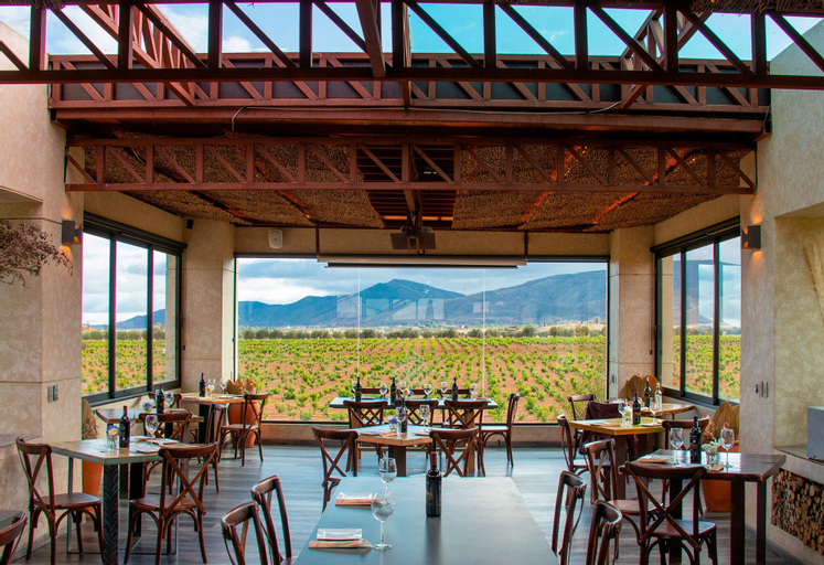 Food & Drinks 5, Entre Viñedos, Ensenada