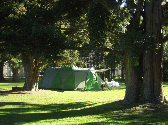 Others 4, Greytown Campground, South Wairarapa