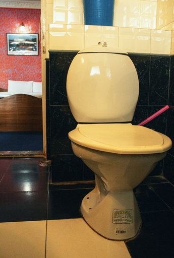 Bathroom, Hotel Ritu Mouria, Bagmati