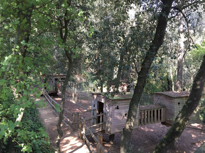 Others 5, Mas Fuselles, Girona