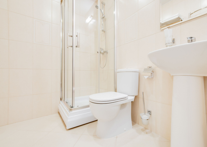 Bathroom 3, Rotas on Krasnoarmeyskaya, Sankt-Peterburg gorsovet