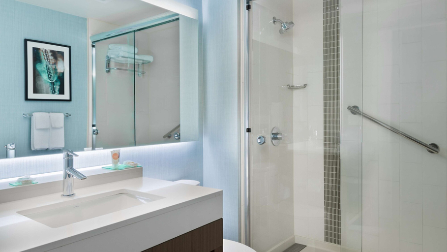 Bathroom 4, Hyatt Place Austin/Round Rock, Williamson