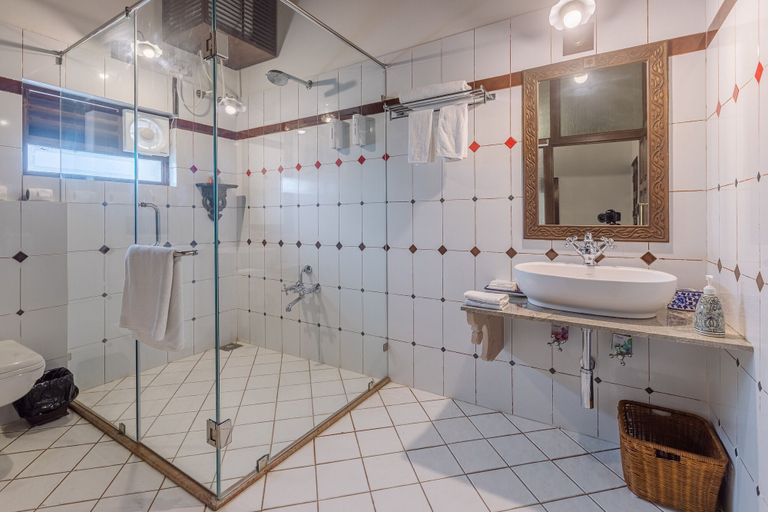 Bathroom 4, Tree of Life Darbargadh, Dared, Bhavnagar