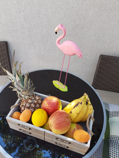 Food & Drinks, Apartment Mali Skoj, Dubrovačko Primorje