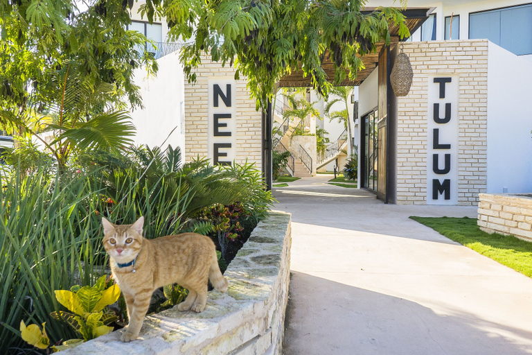 Exterior & Views, Neem Tulum, Cozumel