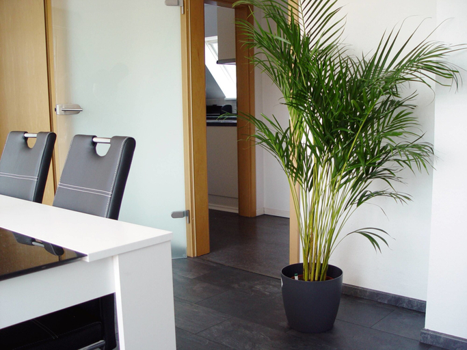 Others 4, La Domus Premium, Steinfurt