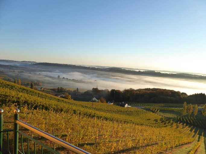 Others 5, Weinberg Lodge - Kellerstöckl, Südoststeiermark