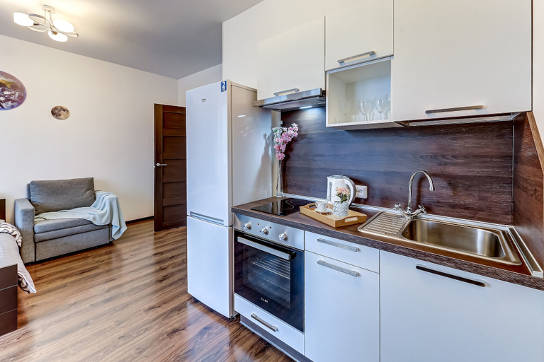 Others 4, Apartment Vesta on Pleseckaya, Sankt-Peterburg gorsovet