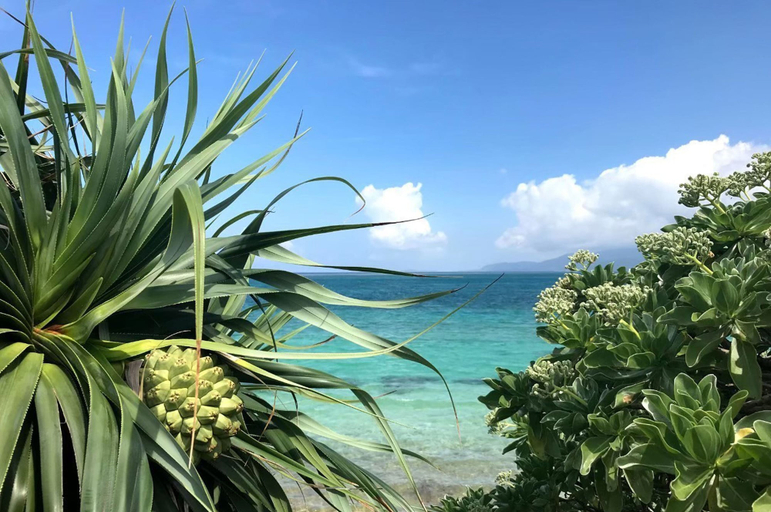 Others 5, Sun Akaishibeach no Yado, Ishigaki
