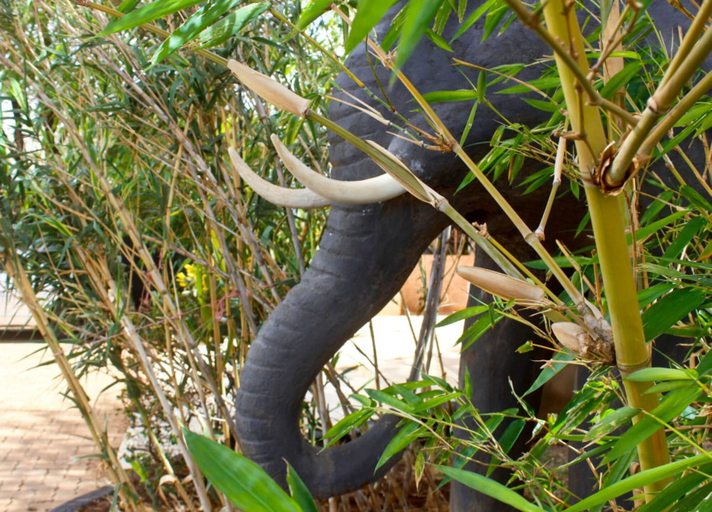 Others 4, Lapset Hotel, Isiolo North