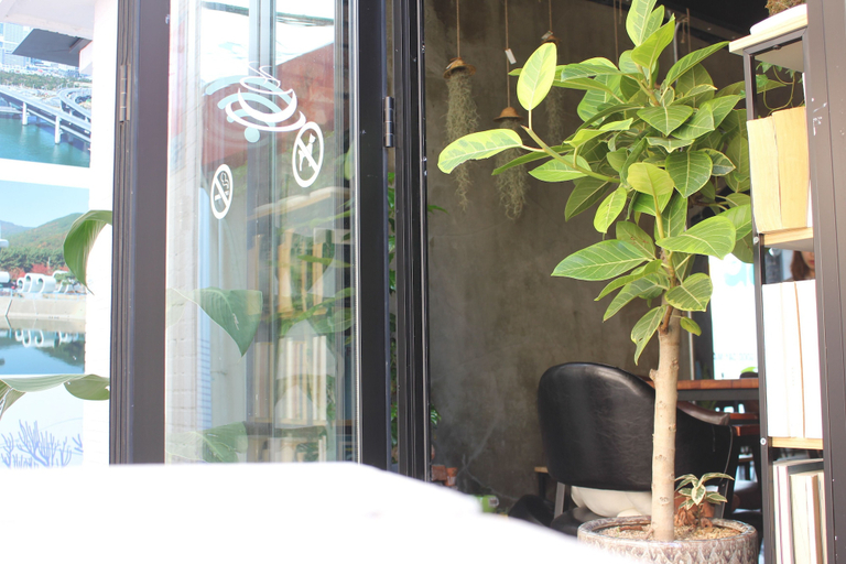 Others 4, Good Day Mate Hostel, Haeundae