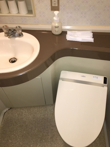 Bathroom 4, Hotel Biwako Plaza, Lake Biwa